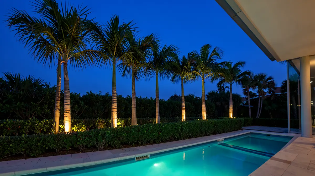 Illustration: palms lit from below beside a glowing pool at dusk.